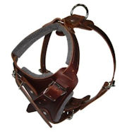 Hands Free Control Dog Harness for Sharpei