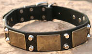 Shar Pei Gorgeous War Dog Leather Dog Collar-brass massive+2 pyramids C85