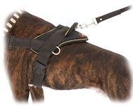 Non Pull Dog Harness-Stop Your Sharpei Pulling