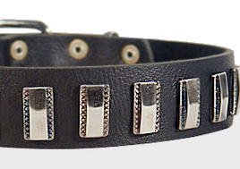 Ornament Dog Collar made of leather for Sharpei Ornament Dog Collar made of leather for Sharpei