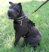 Shar Pei Nylon multi-purpose dog harness for tracking- patrol harness