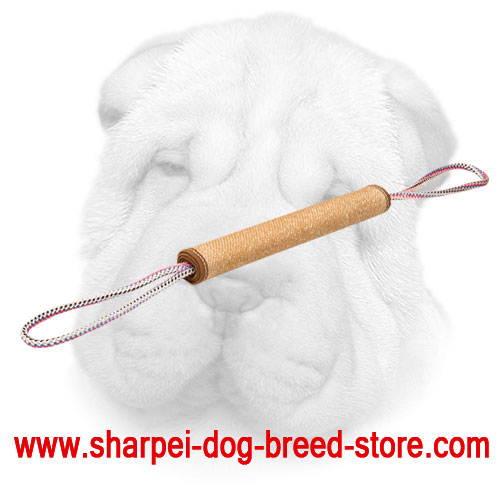 Jute Shar Pei Bite Roll with Stitched Edges