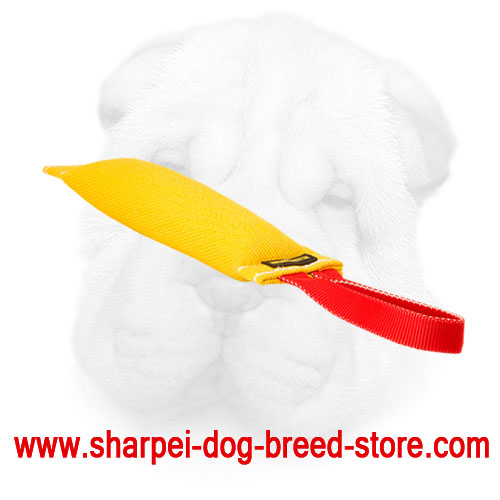 Shar Pei Bute Tug  with Safe Stuffing