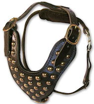Shar Pei Studded Walking dog harness- handmade leather harness- H15