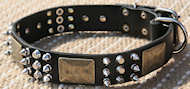 Shar Pei Best Spiked Leather Dog Collar-brass massive plates&spike C-86