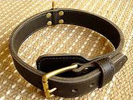 Shar Pei Two ply leather agitation dog collar