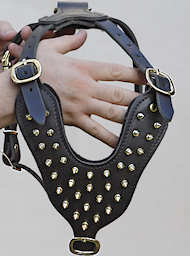 Shar Pei Brass leather spiked dog harness-best padded spiked harness