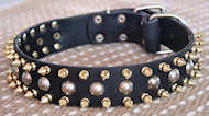 Shar Pei 3 Rows with brass Leather Spikes and Studded Dog Collar S57