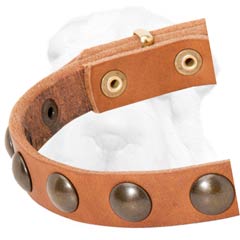 Shar-Pei Leather Collar with Brass Decoration