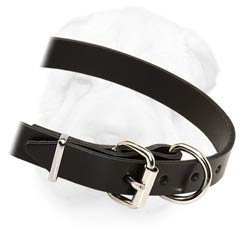 Fine and Strong 1 Inch Wide Leather Collar for Shar Pei