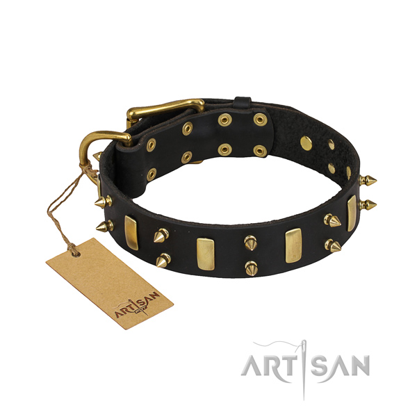 Tough leather dog collar with sturdy hardware