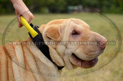 Handy Shar Pei Nylon Collar with More Possibilities to Get Hold over Your Dog