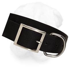 Extra Wide and Durable Nylon Collar for Training and  Walking of Your Shar Pei