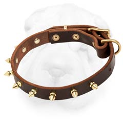 Shar-Pei Spiked Collar with Nappa Padding