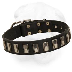 Shar-Pei Leather Collar with Dazzling Nickel Plates