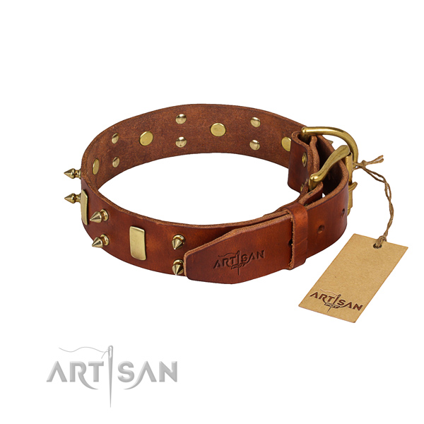 Full grain leather dog collar with smoothly polished leather surface