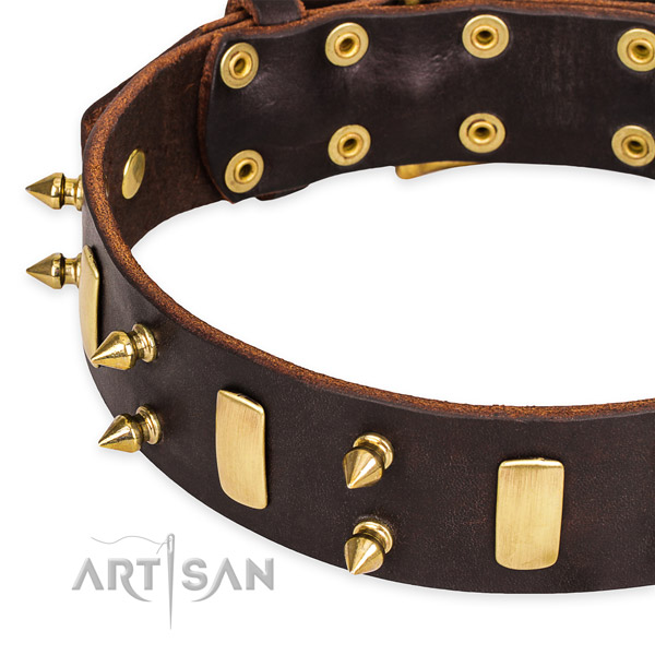 Easy to adjust leather dog collar with resistant to tear and wear brass plated buckle