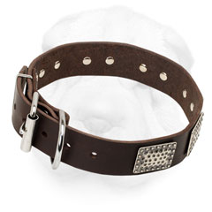 Nickel Plated D-ring and Buckle of Shar-Pei Leather Collar