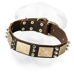 Wide Leather Dog Collar for Shar Pei Breed with Spikes and Plates