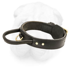 Two Ply Leather Shar pei Collar for Protection Training