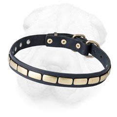 Leather Shar Pei Collar Equipped with Brass Plates