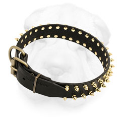 Leather Collar Decorated with Brass Spikes