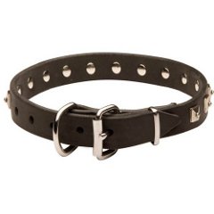 Shar Pei Collar Made of Leather