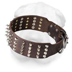 Shar Pei Collar Decorated with Spikes and Pyramids