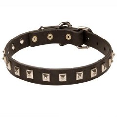 Leather Shar Pei Collar Decorated with Square Studs