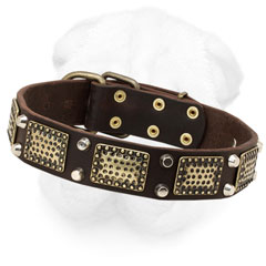 Shar-Pei Collar Decorated with Massive Plates and Pyramids