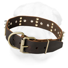 Shar Pei Breed Leather Collar of Neck Protective Width