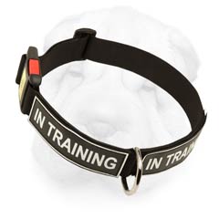 Strong Nylon Collar with identification patches for Shar Pei