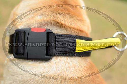 Extra Wide Shar Pei Nylon Collar with Patented QRB and Handy Wide Handle
