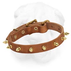 Shar-Pei Spiked Collar with Nappa Padding