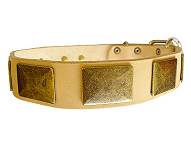 Shar Pei Handcrafted Leather Dog Collar With Vintage Massive Plates