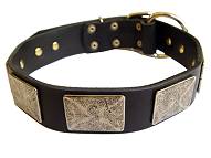 Shar Pei Handcrafted Leather Dog Collar With Vintage Massive Plates