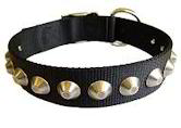 Shar Pei Gorgeous Wide Nylon Dog Collar With Nickle Pyramids