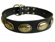 dog collar for walking