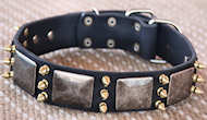 Shar Pei Gorgeous War Leather Dog Collar-massive plates+brass3 spike C87