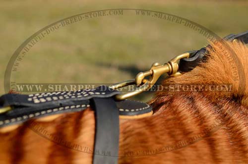 Durable Brass D Ring of Royal Dog Harness