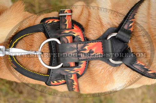 Heavy Duty Leather Harness for Protection Training and Walking