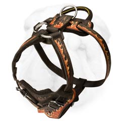 Handcrafted Red Flames Painted Harness with Unique Ornament