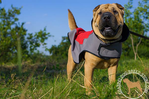 Nylon dog coat for Shar Pei fixed with Velcro