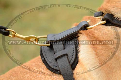 Leather Dog Harness of Refined Shape for Long Service