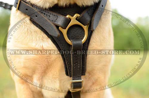 Strong and Comfortable Shar Pei Breed Harness for Tracking Work