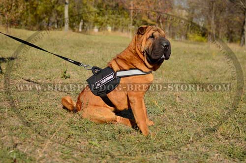 Durable Dog Harness for Work and Walking Your Shar Pei with Identification Patches