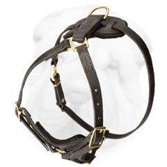 Light Weight Shar Pei Dog Harness for Comfort During Prolonged Tracking or Rescuing Work