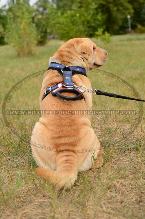 Durable Shar pei Breed Harness for Attack/Protection Training or Walking