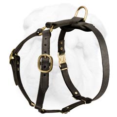 Tracking-Walking Shar Pei Breed Harness Made of Genuine Leather