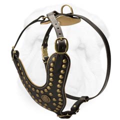 Durable Leather Dog Harness with Brass Hardware and Decoration